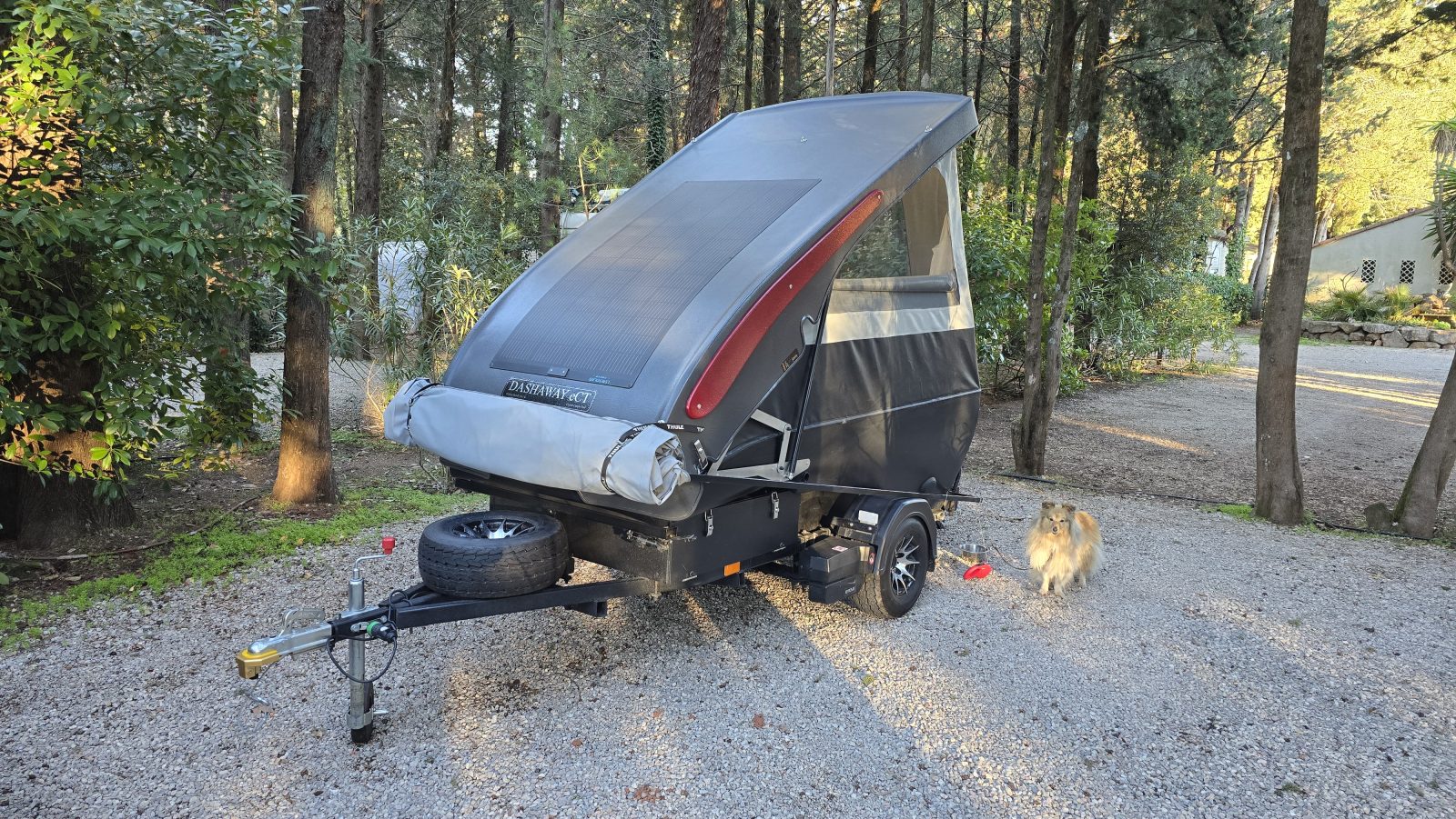 Dashaway ECTS exterior view