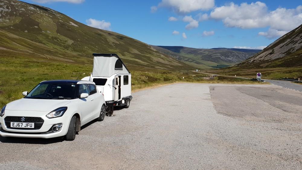 Tara the Sheltie collie on Shetland trip